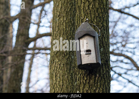 Batbox hängen an einem Baumstamm, Kontrolle Insektenproblem im Nassbereich zu helfen Stockfoto