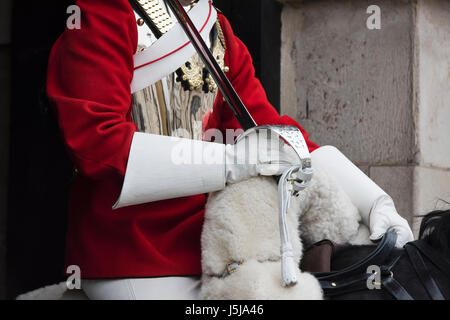 Household Cavalry. Die Wachablösung am Horse Guards Parade, London, UK Stockfoto