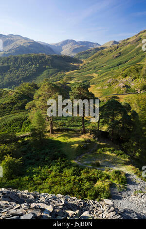 Blick von Castle Crag über alte Schieferanlagen zum unteren Borrowdale Valley, Lake District, Cumbria, Großbritannien Stockfoto