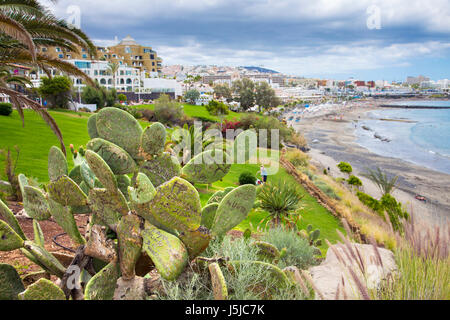 Strand Playa de Fanabe in Costa Adeje, Teneriffa, Spanien Stockfoto