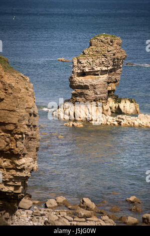 Leas Küstenweg, Marsden Bay, South Shields Stockfoto