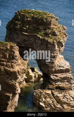 Leas Küstenweg, Marsden Bay, South Shields Stockfoto