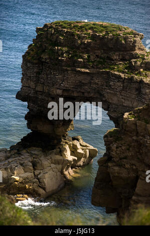 Leas Küstenweg, Marsden Bay, South Shields Stockfoto