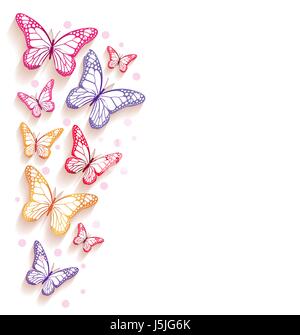 Bunte Schmetterlinge Vector Hintergrund für Federelemente in weißen Hintergrund isoliert. Bearbeitbares Vektor-Illustration Stock Vektor