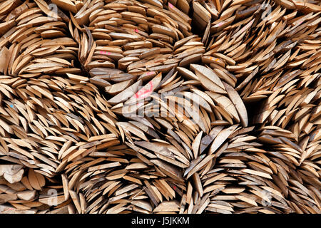 Stapel aus Buchenholz, Deutschland Stockfoto