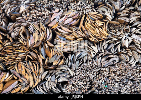 Stapel aus Buchenholz, Deutschland Stockfoto