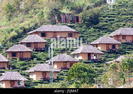 Häuser und Tee Plantage auf einem Hügel in der Kuomintang chinesische Dorf Mae Aw oder Baan Rak Thai, Mae Hong Son, Thailand Stockfoto