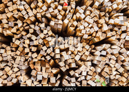 Stapel aus Buchenholz, Deutschland Stockfoto