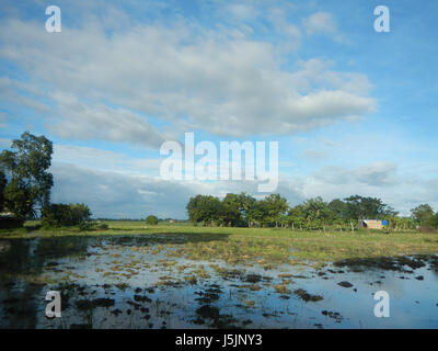 Dieses Bild bezieht sich auf einen Ort in Sitio Hulo, Hilerang Patubig, Tagulod, Candaba, Pampanga. Sie umfasst die Landwirtschaftsstraße und die umliegenden Gebiete, die das ländliche Umfeld und den landwirtschaftlichen Schwerpunkt der Region hervorheben. Stockfoto