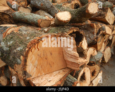 Dieser Eintrag bezieht sich auf verschiedene Infrastrukturelemente in Marilao, Bulacan, einschließlich Baranggays, Straßen, Hallen, und Feuerholz-Sammelstellen entlang der Autobahn. Das Gebiet spielt eine Rolle bei lokalen Verkehrsmitteln und Aktivitäten in der Gemeinde. Stockfoto