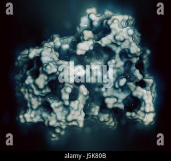 Anaplastische Lymphom Kinase (ALK, Tyrosin-Kinase-Domäne) Protein. Im Komplex mit dem Inhibitor Crizotinib gezeigt. 3D-Rendering. Stockfoto