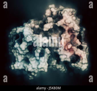 Anaplastische Lymphom Kinase (ALK, Tyrosin-Kinase-Domäne) Protein. Im Komplex mit dem Inhibitor Crizotinib gezeigt. 3D-Rendering. Stockfoto