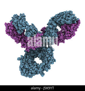 Pembrolizumab monoklonaler Antikörper Medikament Protein. Immun-Checkpoint-Inhibitor Targeting PD-1, bei der Behandlung verschiedener Krebsarten eingesetzt. Stockfoto