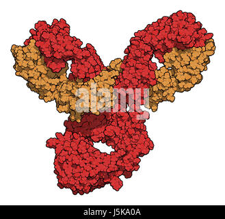 Pembrolizumab monoklonaler Antikörper Medikament Protein. Immun-Checkpoint-Inhibitor Targeting PD-1, bei der Behandlung verschiedener Krebsarten eingesetzt. Stockfoto