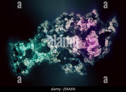 Mitochondrialen Komplex II (Succinat-Dehydrogenase, Vogelgrippe) Enzym. Beteiligt sich an Zitronensäure-Zyklus und Elektronentransport-Kette. 3D-Rendering. Stockfoto