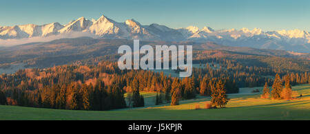 Sommermorgen in Bergen. Grünes Tal durch die aufgehende Sonne beleuchtet. Schneebedeckten Gipfeln im morgendlichen Sonnenlicht. Schönes Panorama der hohen Tatra. Stockfoto