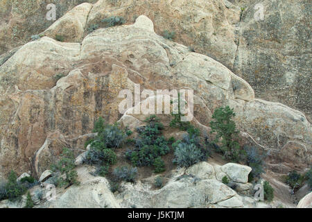 Sandstein-Felsen mit Pinyon Kiefern, Devils Punchbowl County Park, Kalifornien Stockfoto