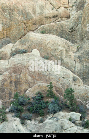 Sandstein-Felsen mit Pinyon Kiefern, Devils Punchbowl County Park, Kalifornien Stockfoto