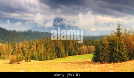 Abend-Berglandschaft. Warmen Abend in der Tatra. Malerischen Sonnenuntergang über Sommer Tal. Beleuchten Sie Sonne Wald am Fuße der Tatra. Tatra-Spitzen in Stockfoto