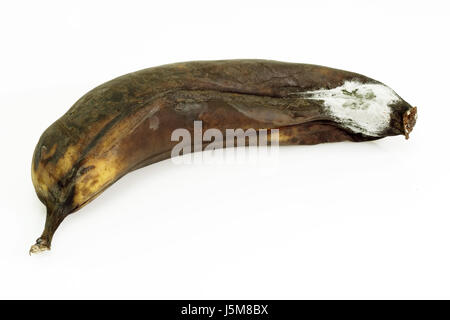 Gesundheit räudigen braun bräunlich Brünette Frucht faul vergiften Banane Pilz Pilz Stockfoto