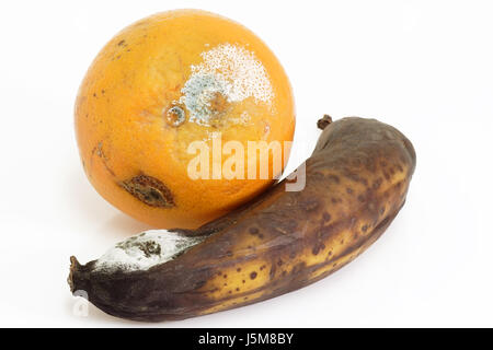 schimmelige Obst Stockfoto