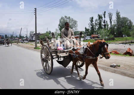 Kashmir Tanga Fahrt leichte Kutsche oder Curricle von einem Pferd (vergleiche ekka) für den Transport verwendet gezeichnet (Photo Copyright © by Saji Maramon) Stockfoto