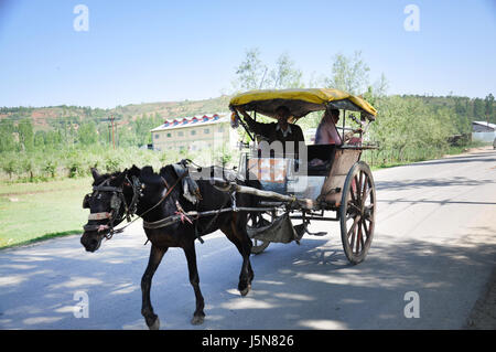 Kashmir Tanga Fahrt leichte Kutsche oder Curricle von einem Pferd (vergleiche ekka) für den Transport verwendet gezeichnet (Photo Copyright © by Saji Maramon) Stockfoto