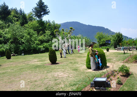 Pari Mahal Moghal Garten mit Dal See, der Aufenthaltsort der Feen, Spaziergang durch Pari Mahal in Srinagar, Chashme Shahi und Pari Mahal (© Saji Maramon) Stockfoto