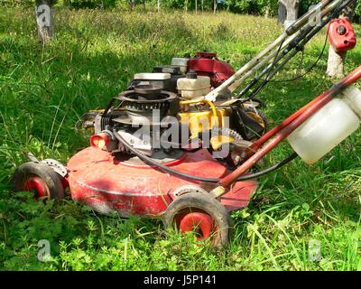 Baum Bäume Garten Rad Tackle Antrieb motor grüne Räder Motorschlauch Gartenarbeit Stockfoto