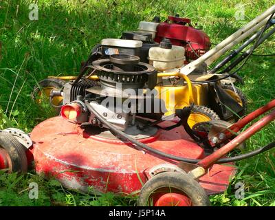 Baum Bäume Garten Rad Tackle Antrieb motor grüne Räder Motorschlauch Gartenarbeit Stockfoto