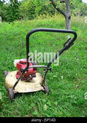 Baum Bäume Garten Rad Tackle Antrieb motor grüne Räder Motorschlauch Gartenarbeit Stockfoto