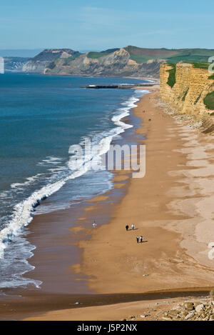 Blick auf Ebbe Jurassic Küste Dorsets in Richtung der Golden Cap von den Klippen bei Burton Bradstock. Teil des South West Coast Path Stockfoto