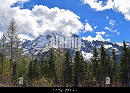 Blick auf die Berge von Rossfeldstrasse Panoramastraße auf deutschen Alpen in der Nähe von Berchtesgaden, Bayern, Deutschland Stockfoto