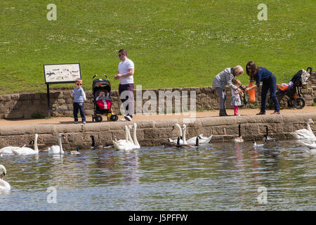 Leeds, UK. 18. Mai 2017. Kinder füttern die Enten und Schwäne im Roundhay Park in Leeds am 18. Mai 2017.  Ein heller und sonniger Tag bringt willkommene Abwechslung von den Wolken und starker Regen in dieser Woche. Bildnachweis: James Copeland/Alamy Live-Nachrichten Stockfoto