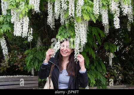 Greenwich, London, Vereinigtes Königreich. 18. Mai 2017. Ein Londoner geht in Deckung vor dem Regen unter einem schönen Baum. Ein sonniger Morgen in Greenwich wich einem nassen Nachmittag mit Starkregen. Rob Powell/Alamy Live-Nachrichten Stockfoto