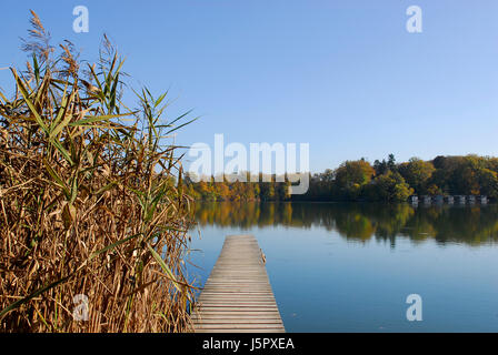 Entspannung Reed herbstlichen Radio stille Ruhe Stille Bayern Brücke voller Stockfoto