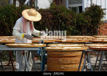 TAINAN, TAIWAN--4. März 2014: ein nicht identifizierter Arbeiter prüft auf Nudeln, die in der Sonne getrocknet werden, bevor Sie verpacken, eine lokale Spezialität im Südwesten T Stockfoto