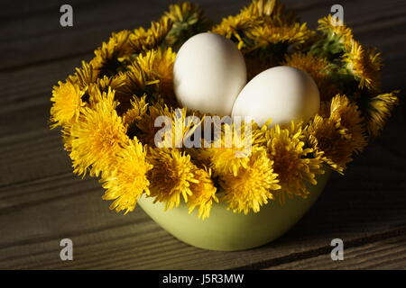 Cute Frühjahr Stillleben. Eiern liegen auf einem Kissen von Löwenzahn in der Küchenschüssel. Stockfoto