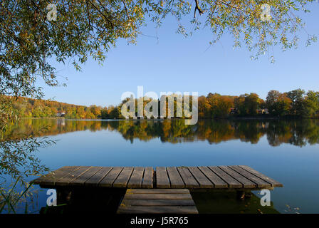 Reed herbstlichen Radio stille Ruhe Stille Bayern Spiegelung Brücke voller Stockfoto