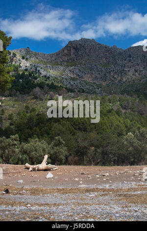 Berglandschaft und Strand anzeigen Cala Tuent Mallorca, Spanien Stockfoto