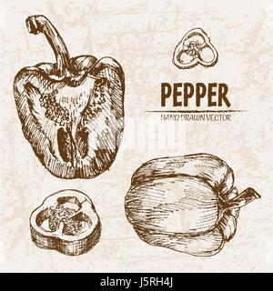 Digitale Vektor detaillierte Linie Kunst Pfeffer Gemüse handgezeichnete Retro-Abbildung Sammlungssatz. Dünne Kunststift Gliederung. Vintage Tinte flachen Stil, Stock Vektor