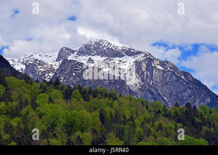 Schneebedeckte Berg der Alpen. Wald im Vordergrund. Ansicht von Berchtesgaden, Bayern, Deutschland. Horizontales Bild. Stockfoto