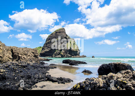 Piha Beach befindet sich an der Westküste in Auckland, Neuseeland. Stockfoto