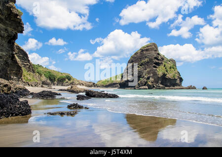 Piha Beach befindet sich an der Westküste in Auckland, Neuseeland. Stockfoto