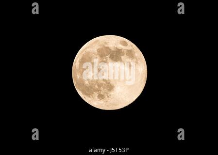 Horizontale Foto des Vollmondes. Mond mit schöne weiche gelbe Farbe. Sichtbare Krater am Rande des Raumkörper. Die helle Bereiche auf der Oberfläche sind Stockfoto