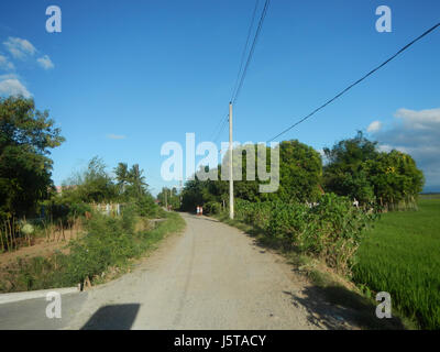 Das Bild bezieht sich auf den Standort in Sitios Centro Cardenas, Libis Tagulod, Candaba, Pampanga auf den Philippinen. Dieses Gebiet ist bekannt für seine lokale Gemeinschaft und seine landwirtschaftliche Tätigkeit, insbesondere in der Reiszucht. Die Region spielt eine Schlüsselrolle in der lokalen Wirtschaft und bietet einen Einblick in die ländliche Lebensweise in Pampanga, indem sie die landwirtschaftlichen Praktiken der Region veranschaulicht. Stockfoto