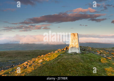 Der Gipfel des großen steinigen Hügel mit den Hügeln im Süden eingehüllt in Nebel Hügel, obere Teesdale, County Durham, Großbritannien Stockfoto