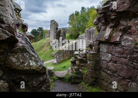 Beeston Castle, Cheshire Stockfoto