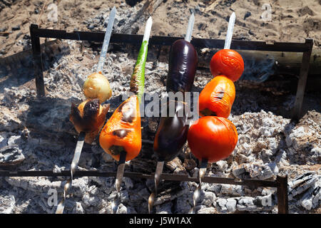 Gegrilltes Gemüse Schaschlik mit Tomaten, Paprika, Zwiebeln, Auberginen und Paprika, Kochen am Lagerfeuer bei Sonne Sommertag. Camping Kochen. Stockfoto