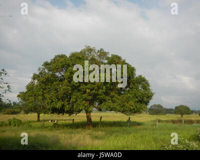 Dieses Bild zeigt die ländliche Szene von San Ildefonso, Bulacan, und zeigt die Gegend von Poblacion, Mataas na Parang Road und die umliegende Landschaft. Das Gebiet stellt eine typische Provinzlage auf den Philippinen dar. Stockfoto